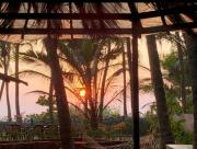 Top Malvan