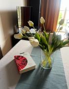 Top Tomaszów Mazowiecki