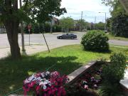 Top Ottawa