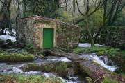 Top Verdes