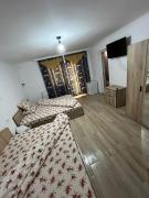 Top Băile Herculane