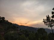 Top Kasauli