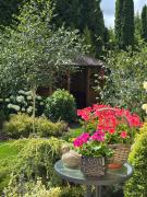 Top Sztutowo Top Sztutowo