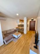 Tina Apartman Sokobanja