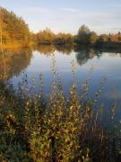 Top Salbris Top Salbris