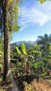 Top Paraty