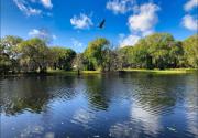 Top Wesley Chapel