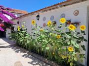 QM - Quinta da Morgadinha - Casa em Quinta Rural