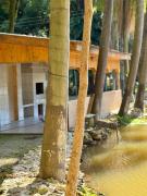 Top Araucária