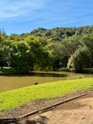 Top Araucária