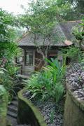 Top Ubud