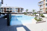 Top Paralimni