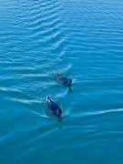 Top Villefranche-de-Lauragais