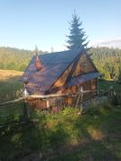 Top Waksmund Top Waksmund