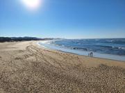 Sand Dune Apartment with Seaview