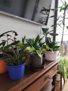 Avea - Accessible Downtown Retreat near Hofgarten