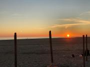 Top Isla Canela