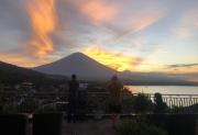 Top Amed