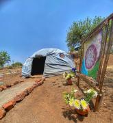 La Casa de la Mujer Medicina