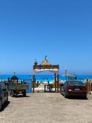 الإسكندرية