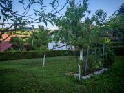 Apartman TINA Apartman TINA