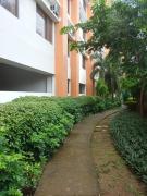 Nature Green Room Paseo Verde at Calle Real