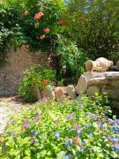 Top Pont-Saint-Martin