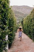 Top Franschhoek