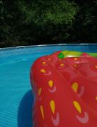 Top Ribarica Top Ribarica