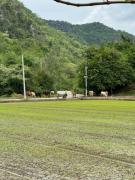 Top Kanchanaburi
