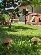 Top Polańczyk Top Polańczyk