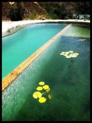 La calma y la caravana