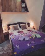 Apartman Sofija Divcibare