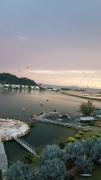 Top Lumut