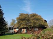 Top Humptrup Top Humptrup