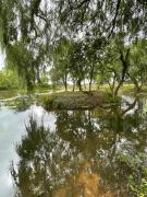 Top Everton Top Everton