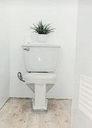 Abas Boutique Hostel