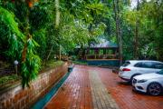 Top Wayanad