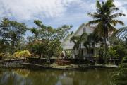Top Alleppey