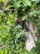 Top Ligny-le-Ribault