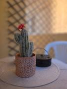 Τριάρι διαμέρισμα στο ισογειο