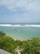 Paradise Beach Resort & Diving school