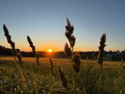 nieaktualne omyłkowo stworzone