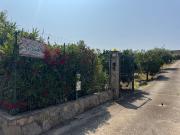 Top Campofelice di Roccella