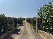 Top Campofelice di Roccella