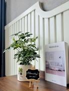 Top Thôn Văn Dương