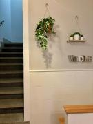 Top Losar de la Vera