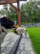 Top Pogorzelica Top Pogorzelica