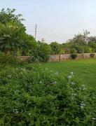 Top Mathura