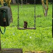 CASITA eL ANTIGUO MOLINO